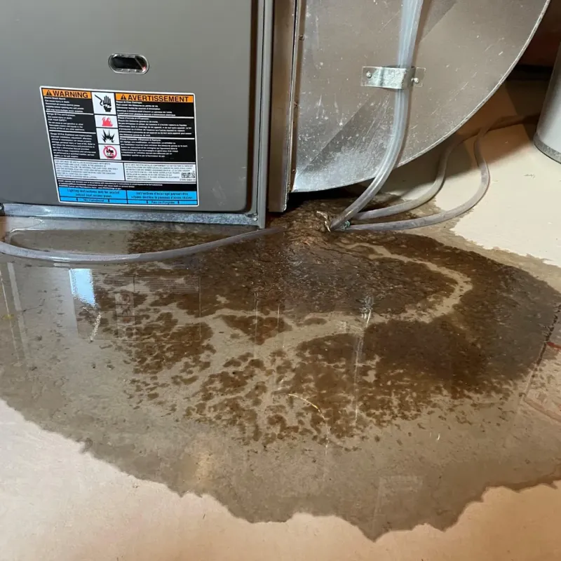 Appliance Leak Cleanup in Grand Isle County, VT